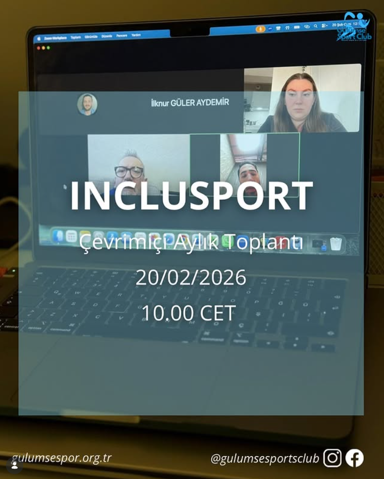 Monthly online meeting of the IncluSport project focused on dissemination and mobility outcomes